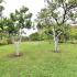 Apartmani Ivona, privat innkvartering i sted Bar, Montenegro - thumbnail (7)